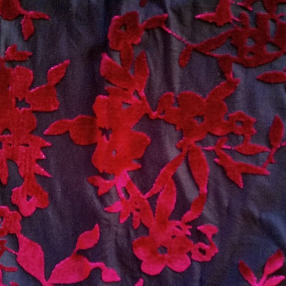Gorgeous Asian Inspired Black Red velvet Top Size XL NEW NWT - Picture 4 of 7
